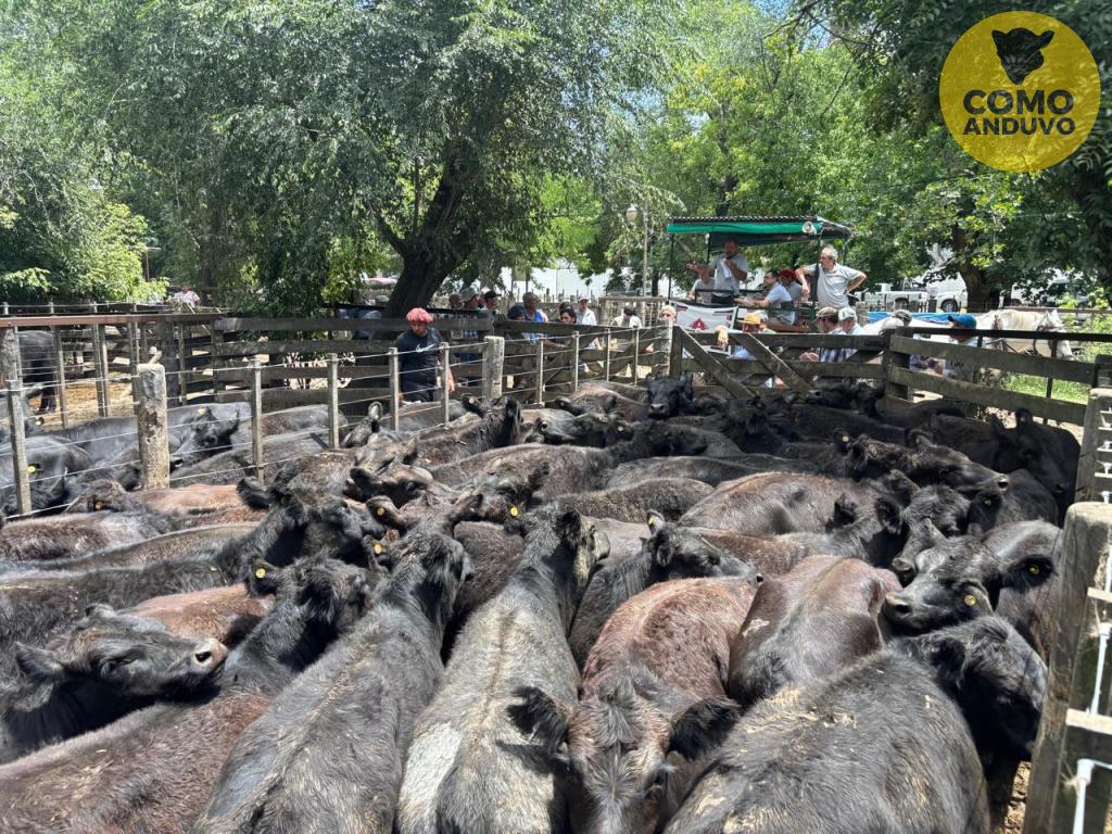 Arribere, Ugarte y Cía